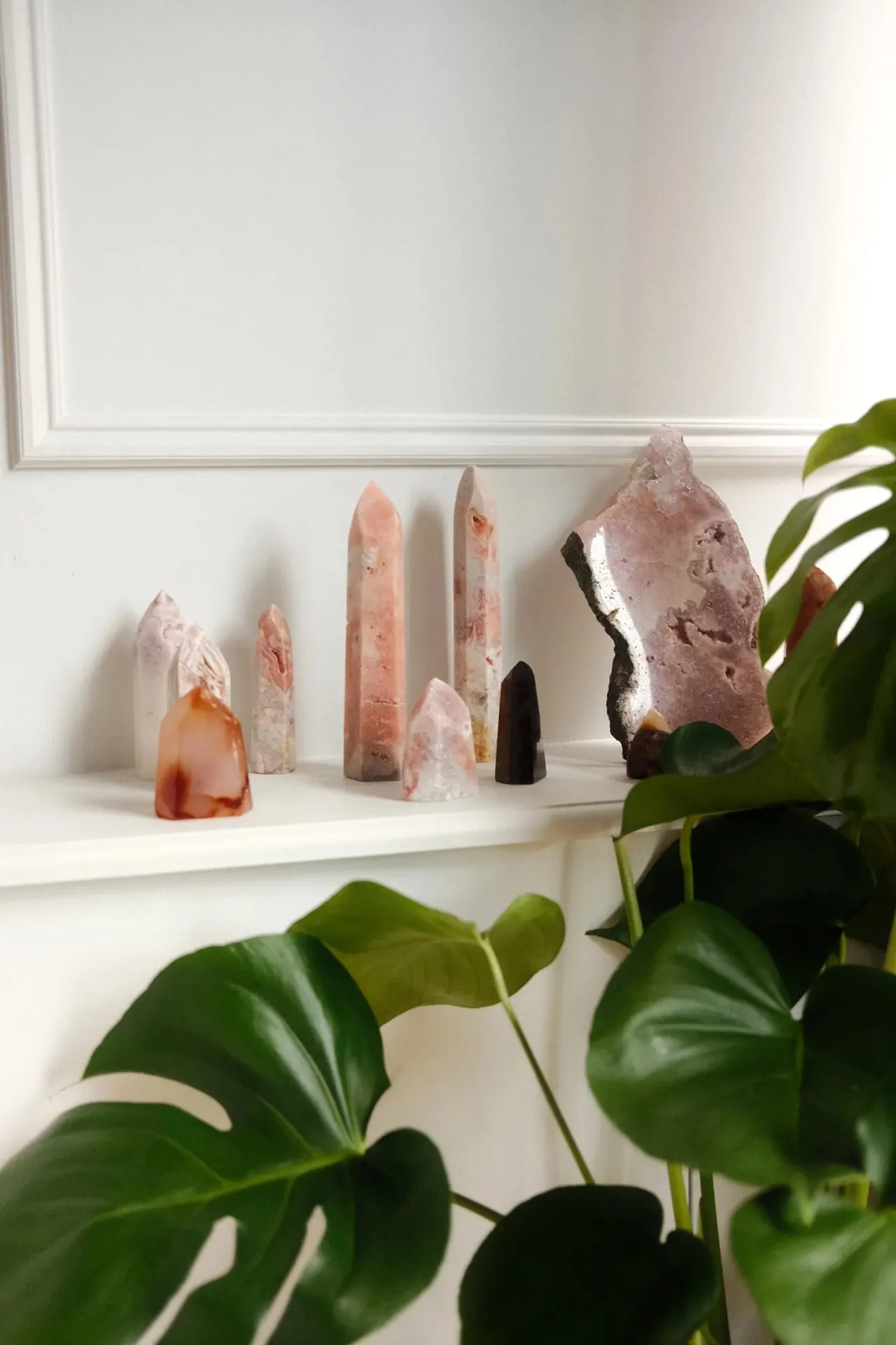 Collection of polished crystal and mineral specimens displayed on a white shelf beside potted plant foliage.