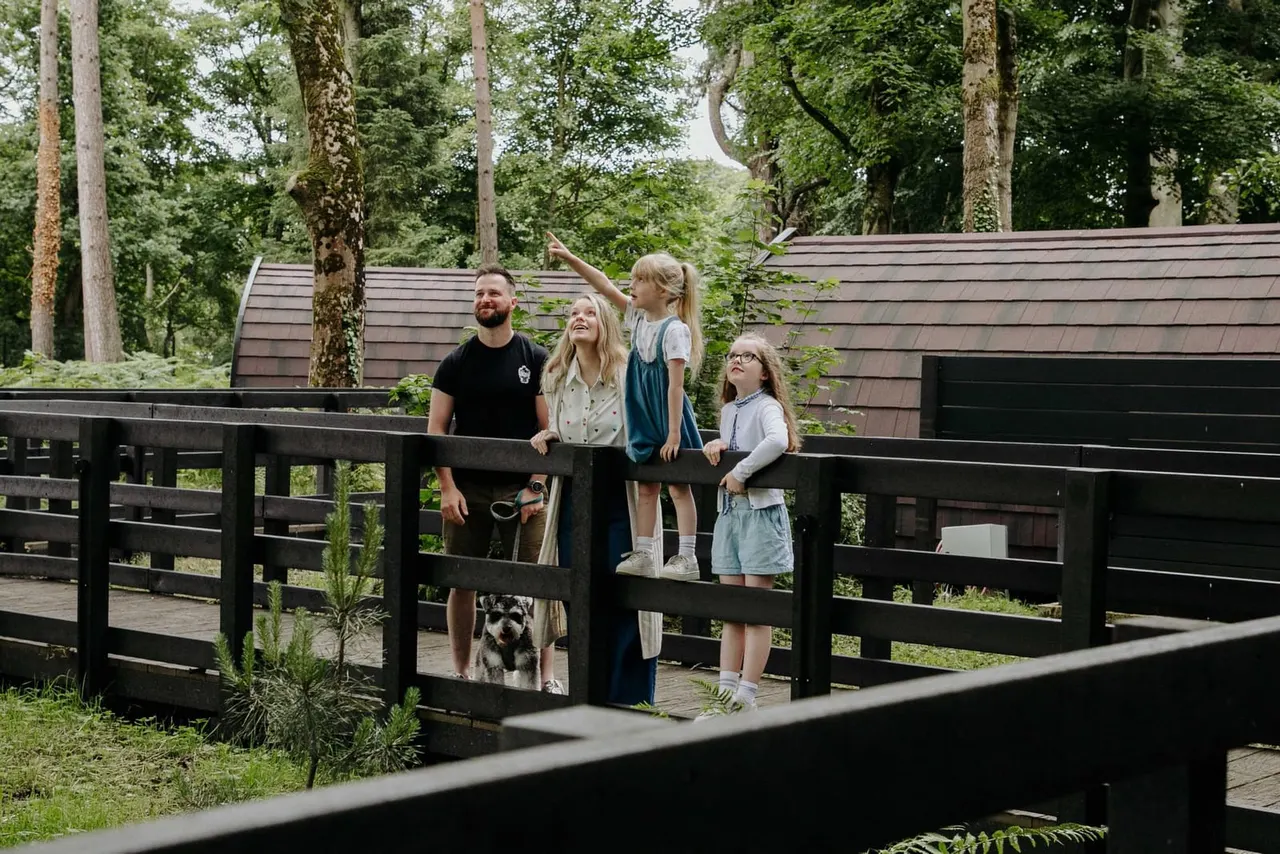 An adult and three children stand on a wooden deck surrounded by forest, looking up at the trees near glamping pods.