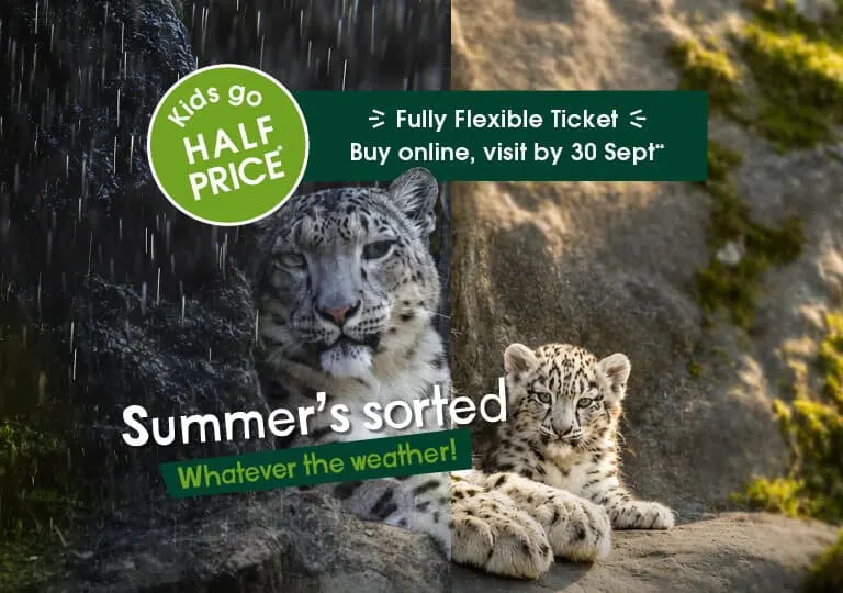 Marwell Zoo