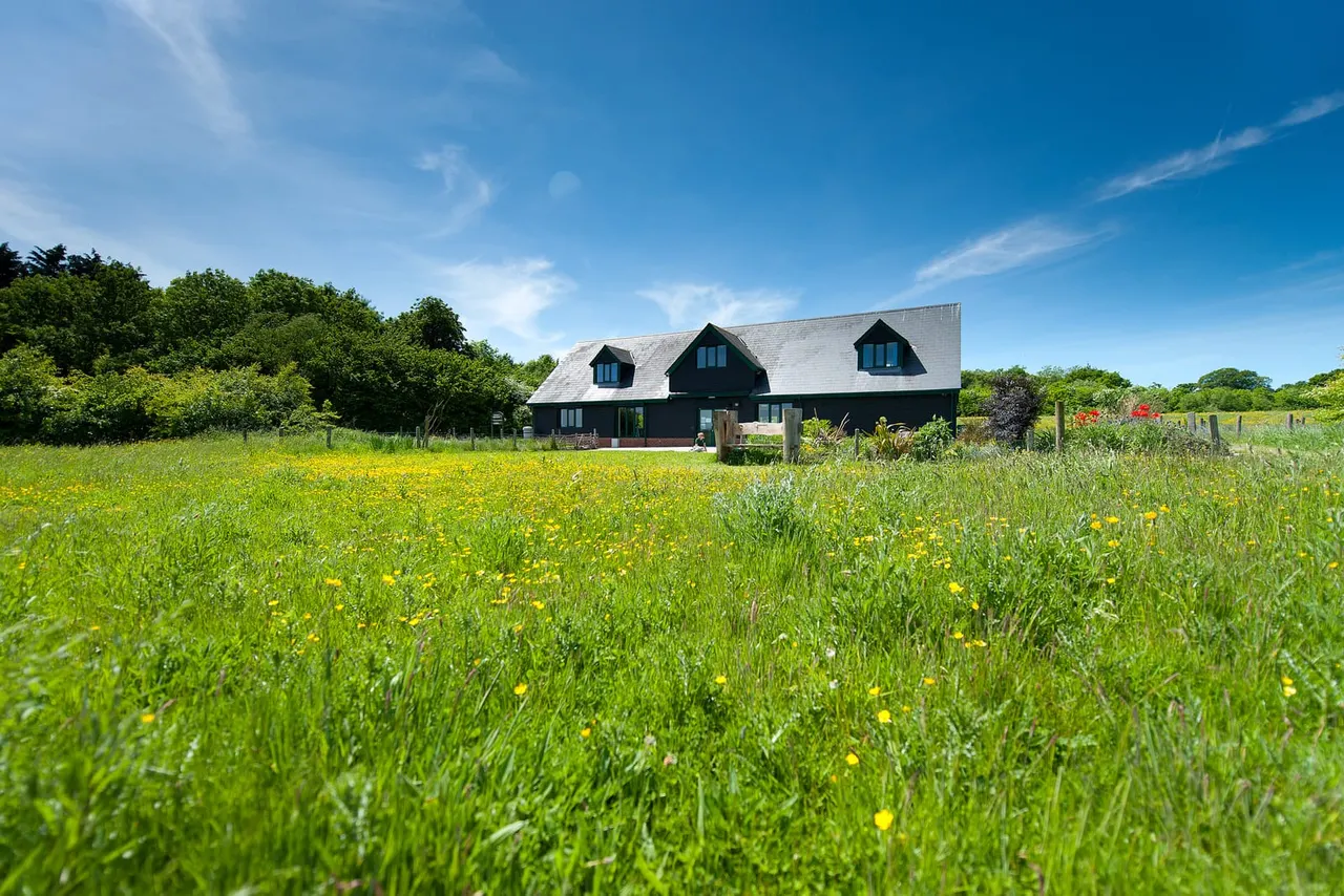 Modern dark barn conversion with grey roof and dormer windows set in wildflower meadow with trees beyond under clear blue sky.