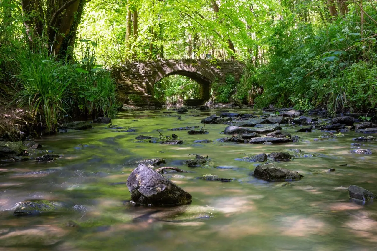 Stone bridge spanning a shallow woodland stream with moss-covered rocks and overhanging trees.