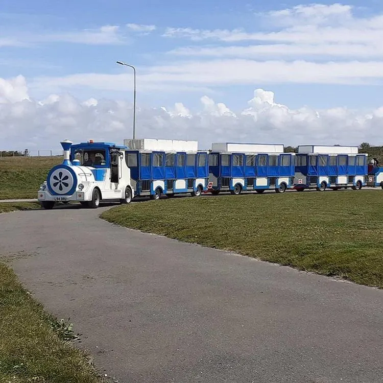 Blue and white novelty train with locomotive engine on a path beside green fields under cloudy sky.