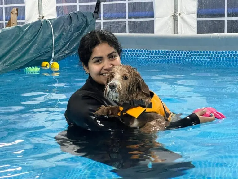 Person in black wetsuit holding a small dog wearing a yellow life jacket in an indoor swimming pool.