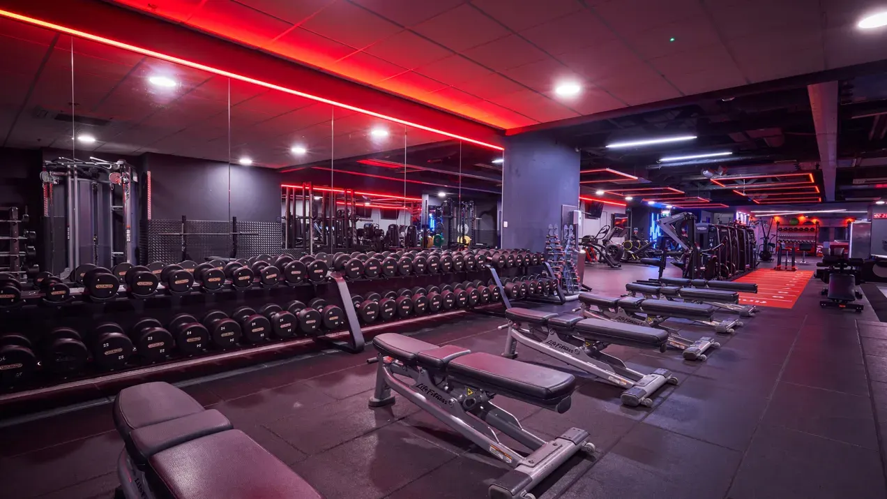 Modern gym interior with red neon lighting, rows of dumbbells, exercise machines and benches on dark flooring.
