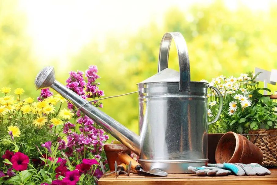 Metal watering can with flowering plants and gardening tools on a wooden table outdoors.
