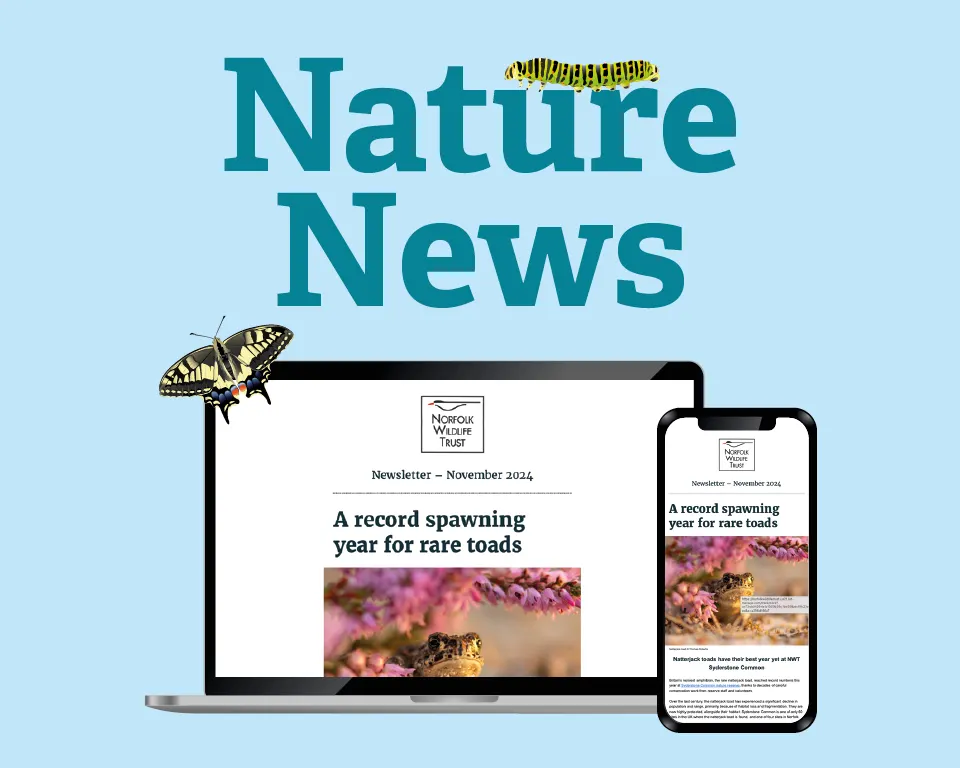 Norfolk Wildlife Trust – Head Office