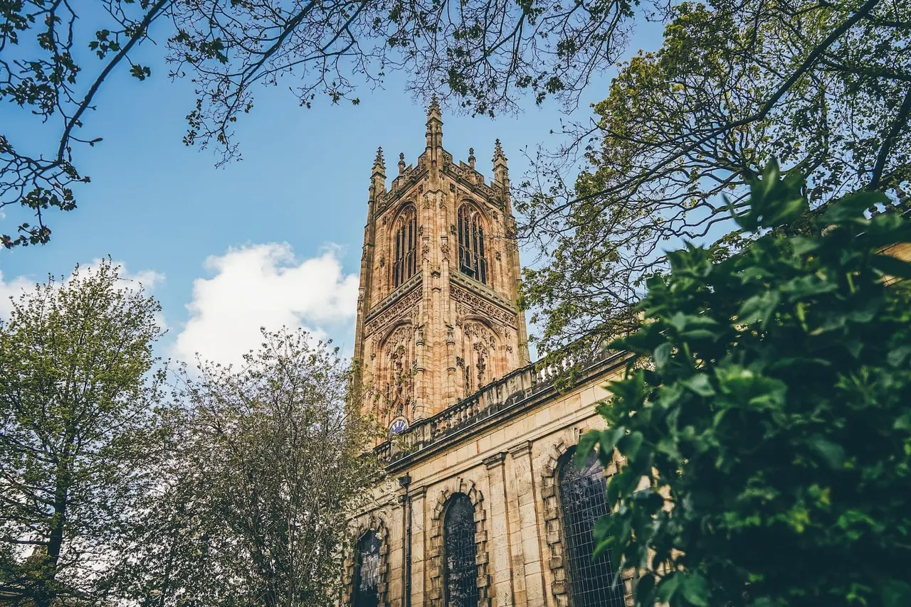 Gothic stone cathedral tower with ornate spire rising above surrounding trees on a clear blue day.