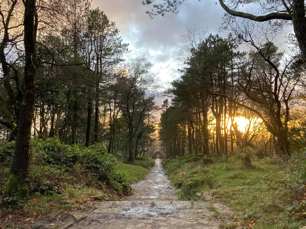 Tree-lined path with a small stream running through woodland at sunset, with mountains visible in the distance.