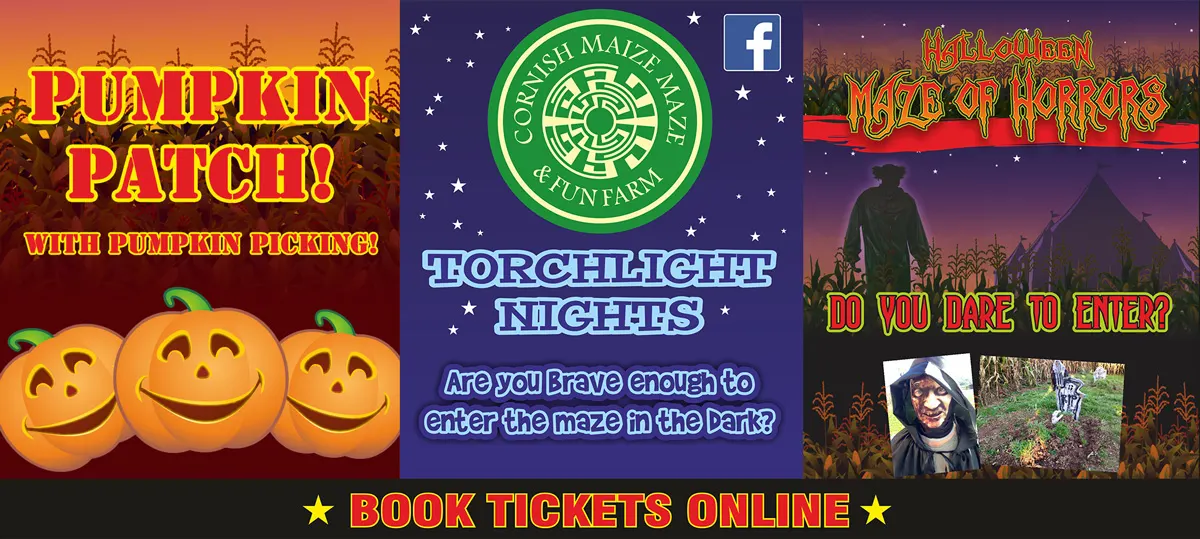 The Cornish Maize Maze And Fun Farm Ltd