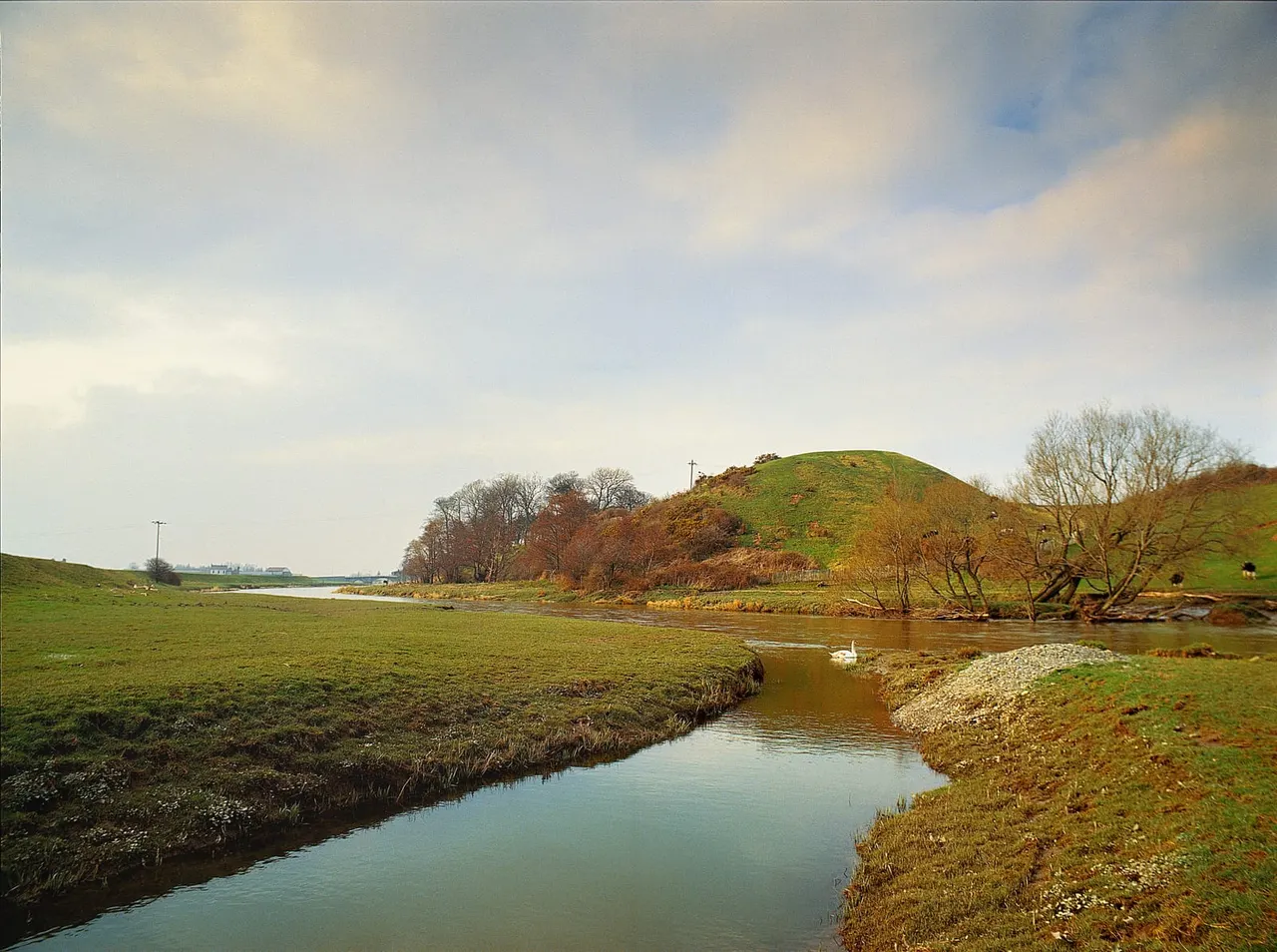 A watercourse winds through green pasture with a swan in the distance, bare trees and hillside beyond under cloudy sky.