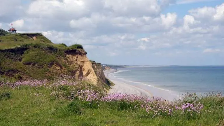 Clifftop meadow with purple flowers overlooking a sandy beach and sea under blue sky with clouds.