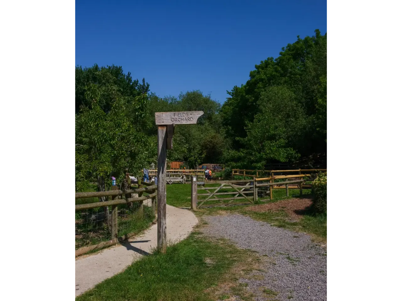 Wooden signpost reading 'Fields Orchard' at the entrance to a rural pathway, with wooden fencing, green fields and trees under clear blue sky.