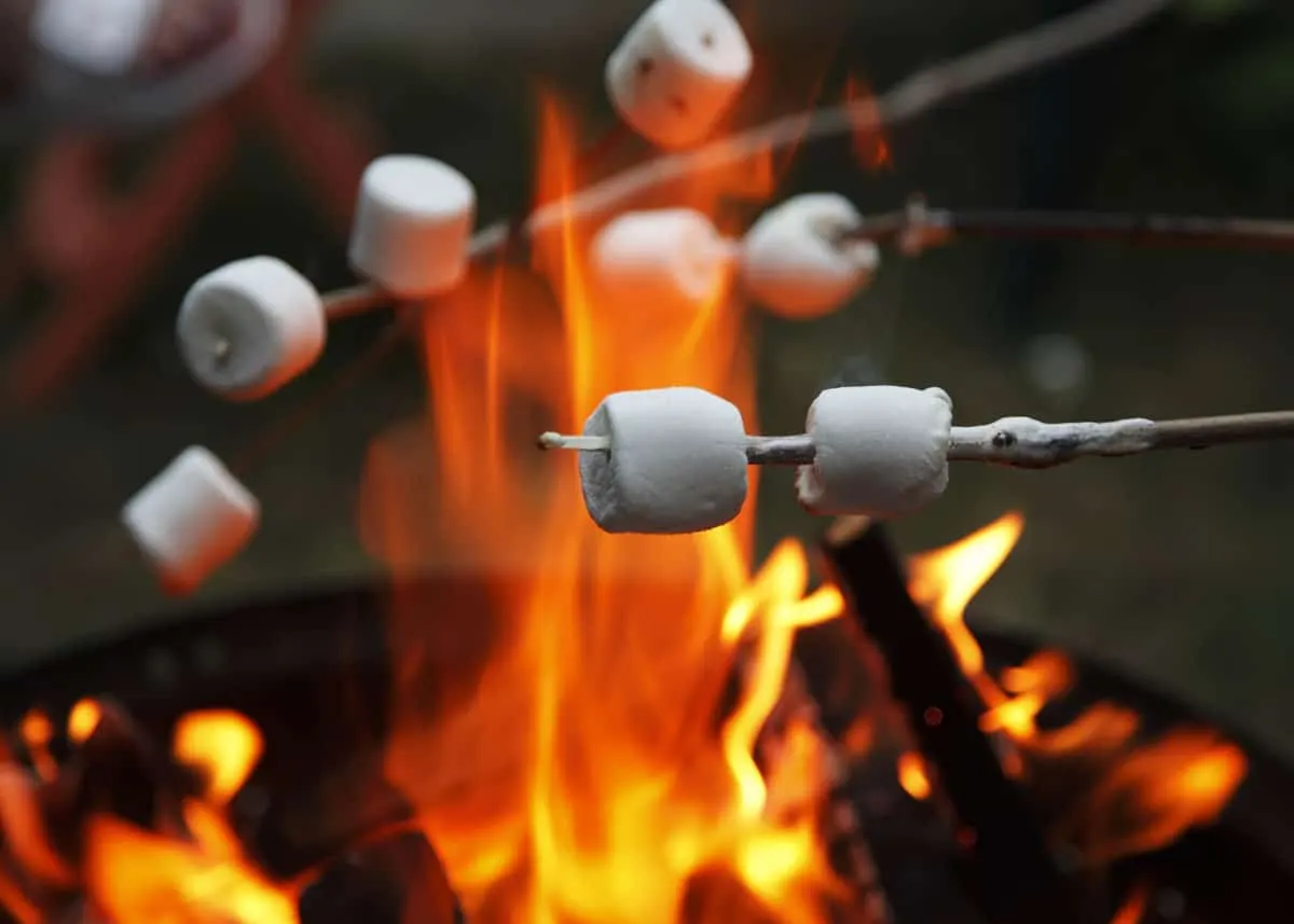 Marshmallows toasting on sticks over a campfire with flames in the background.
