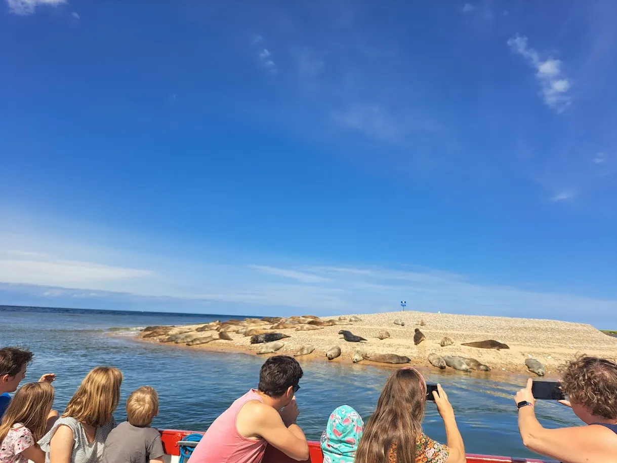 Passengers on a boat viewing seals resting on a rocky outcrop in clear blue sea water.