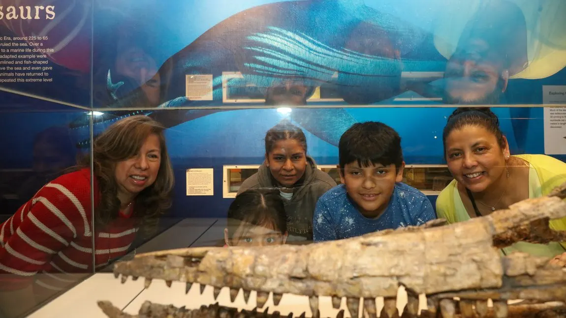 Family looking at wildlife and marine exhibits
