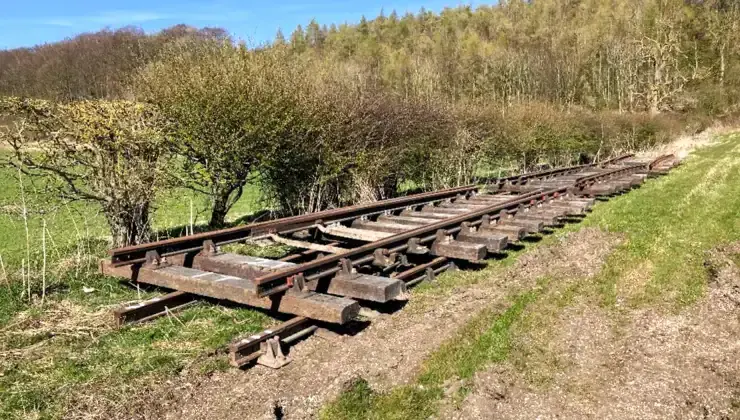 Rusty railway tracks laid on a grassy slope with woodland and bare trees in the background.