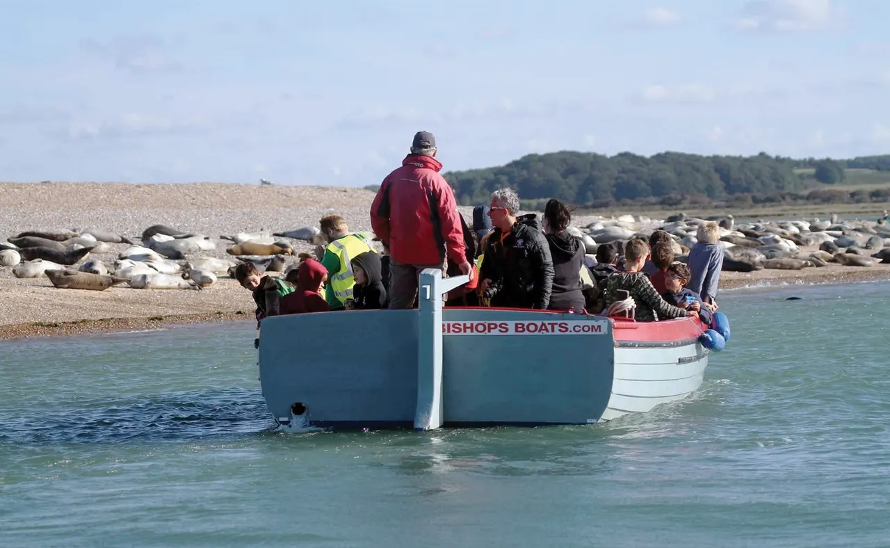 A group of visitors boarding a small passenger boat in shallow water off a shingle beach with woodland beyond.