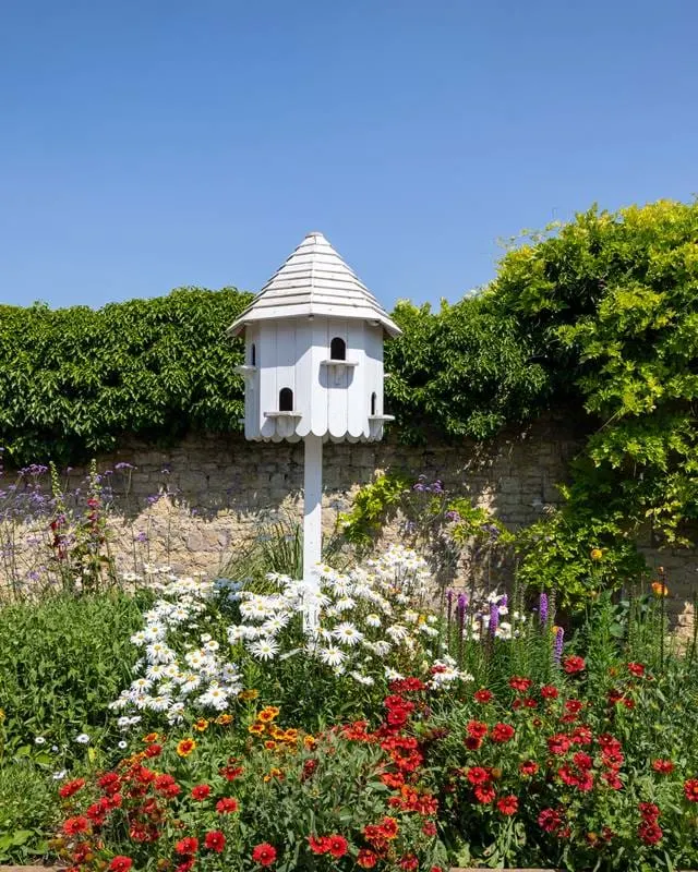 White dovecote surrounded by colourful flowering plants and climbing ivy against a stone wall in bright sunshine.