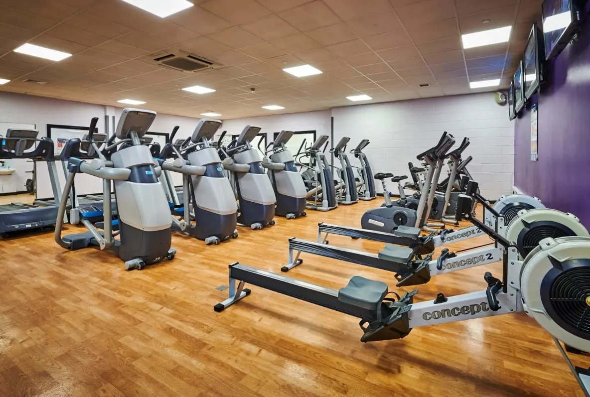 Indoor gym with rows of exercise equipment including elliptical machines and rowing machines on wooden floor.
