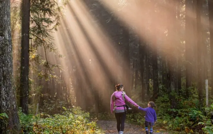 Adult and child walking hand-in-hand through sunlit woodland path with tall conifers.