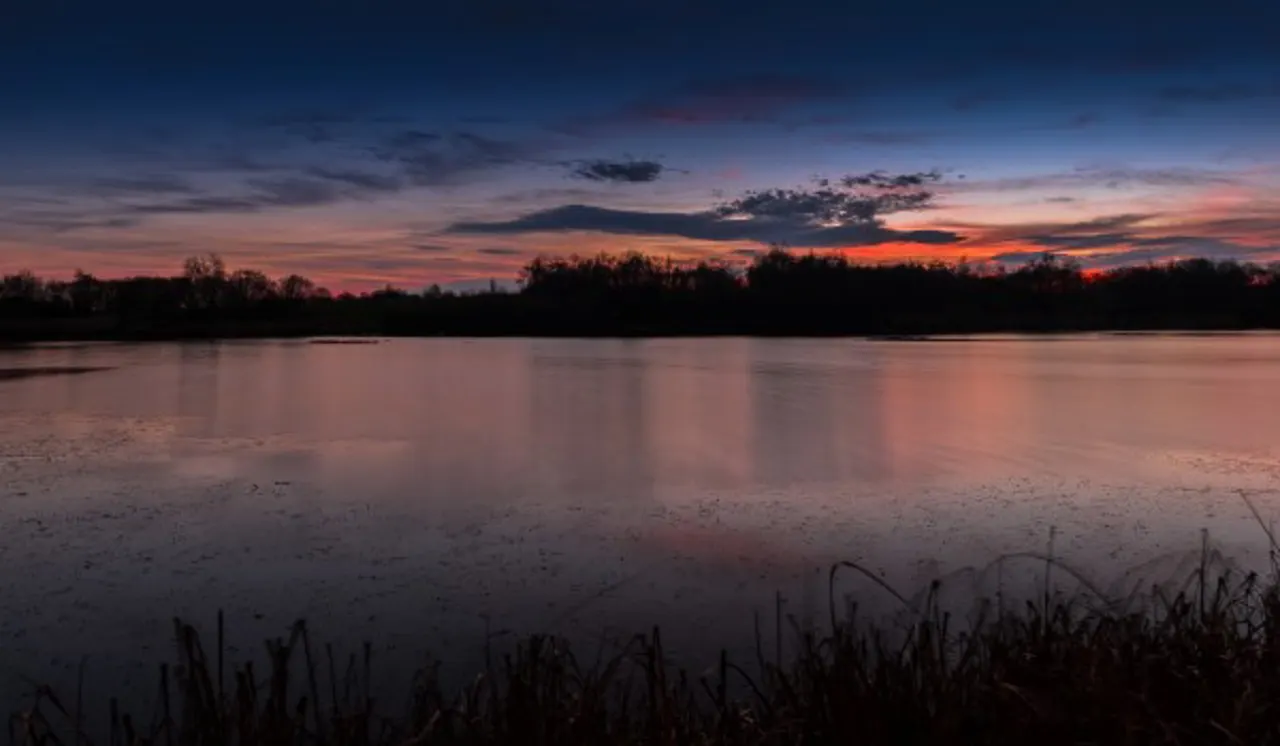 Sunset over a frozen lake with silhouetted trees and reeds along the shoreline.