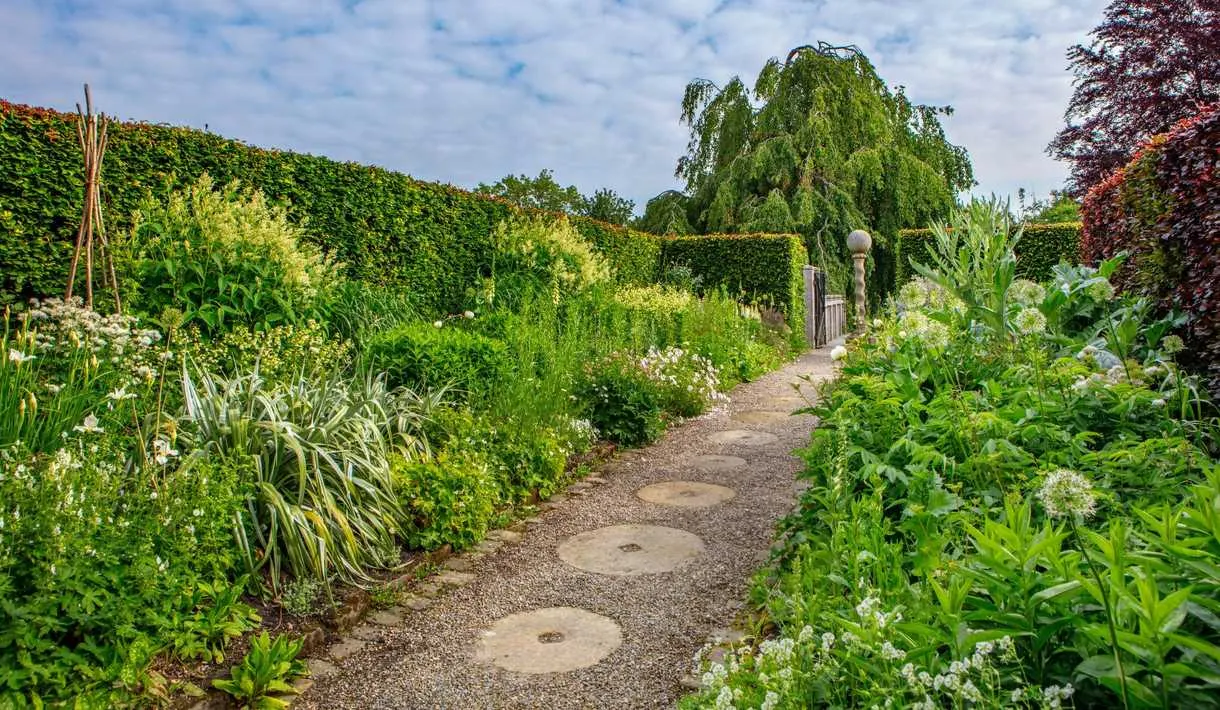 A gravel pathway winds through lush garden borders planted with green foliage and white flowers, leading towards hedged sections and a weeping willow tree.