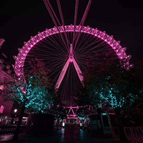 A large illuminated observation wheel glows in bright pink neon against a night sky, with illuminated trees below.
