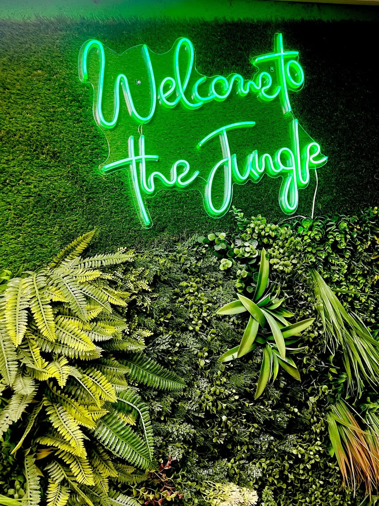 Jungle Pawz