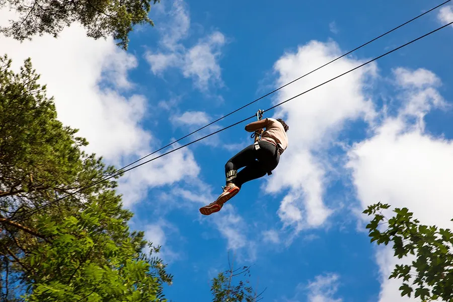 Person ziplining through trees against a blue sky with white clouds.