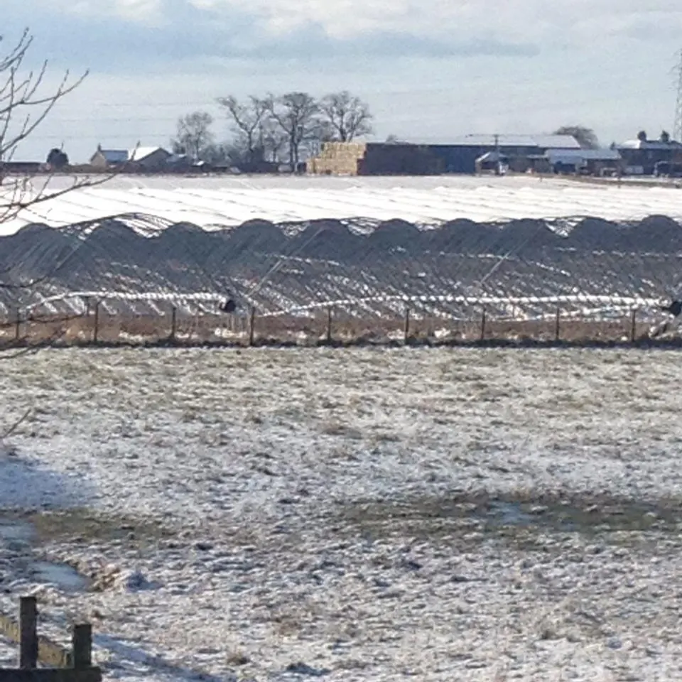 Snowy farmland with polytunnels, fencing and farm buildings in the distance under a cloudy sky.