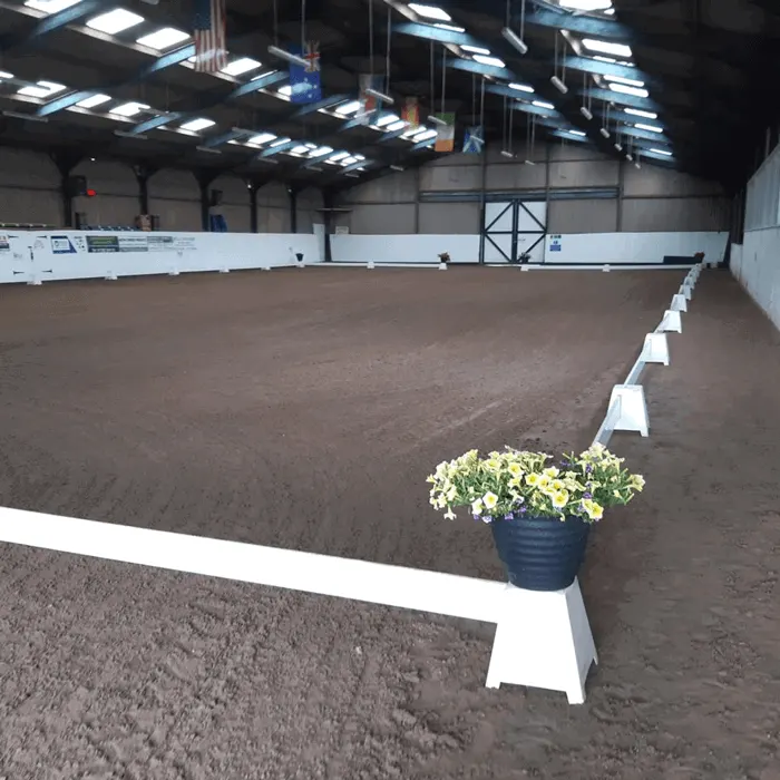 Empty indoor equestrian arena with sand surface, white barriers and a potted yellow flower arrangement in the foreground.
