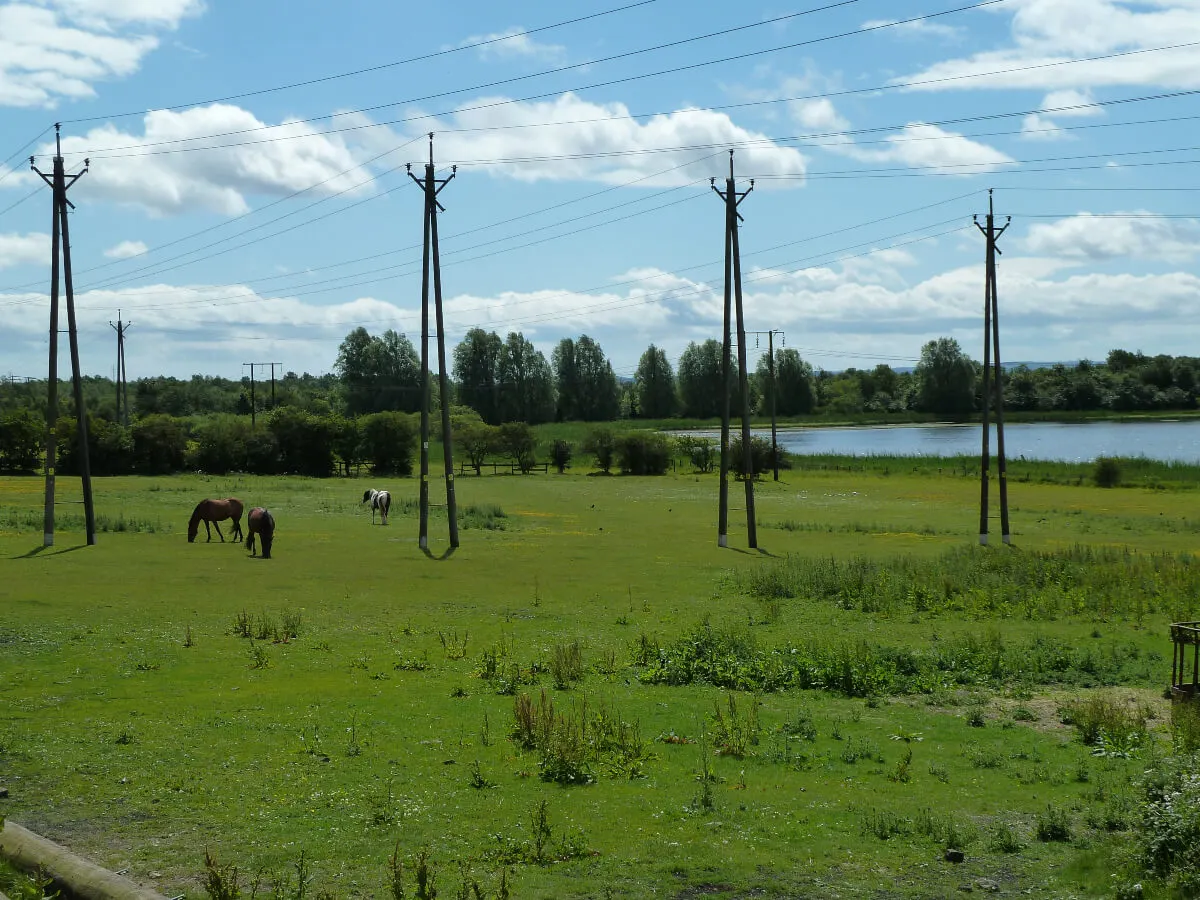 Swallow Pond at Rising Sun Country Park