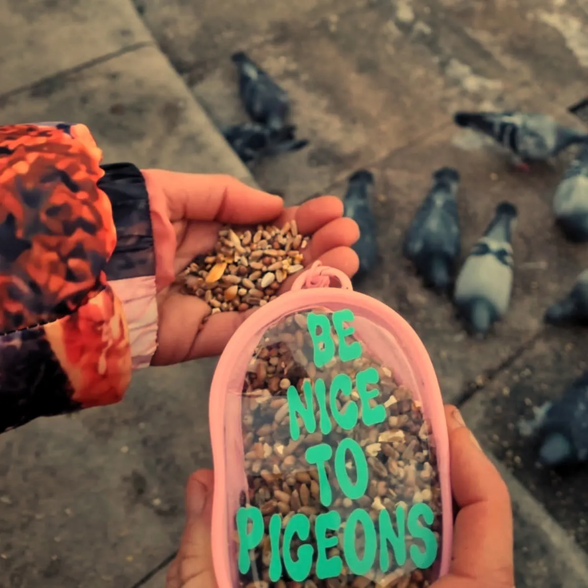 Child's hand holding a pink container labelled "BE NICE TO PIGEONS" filled with seed, feeding pigeons on ground.