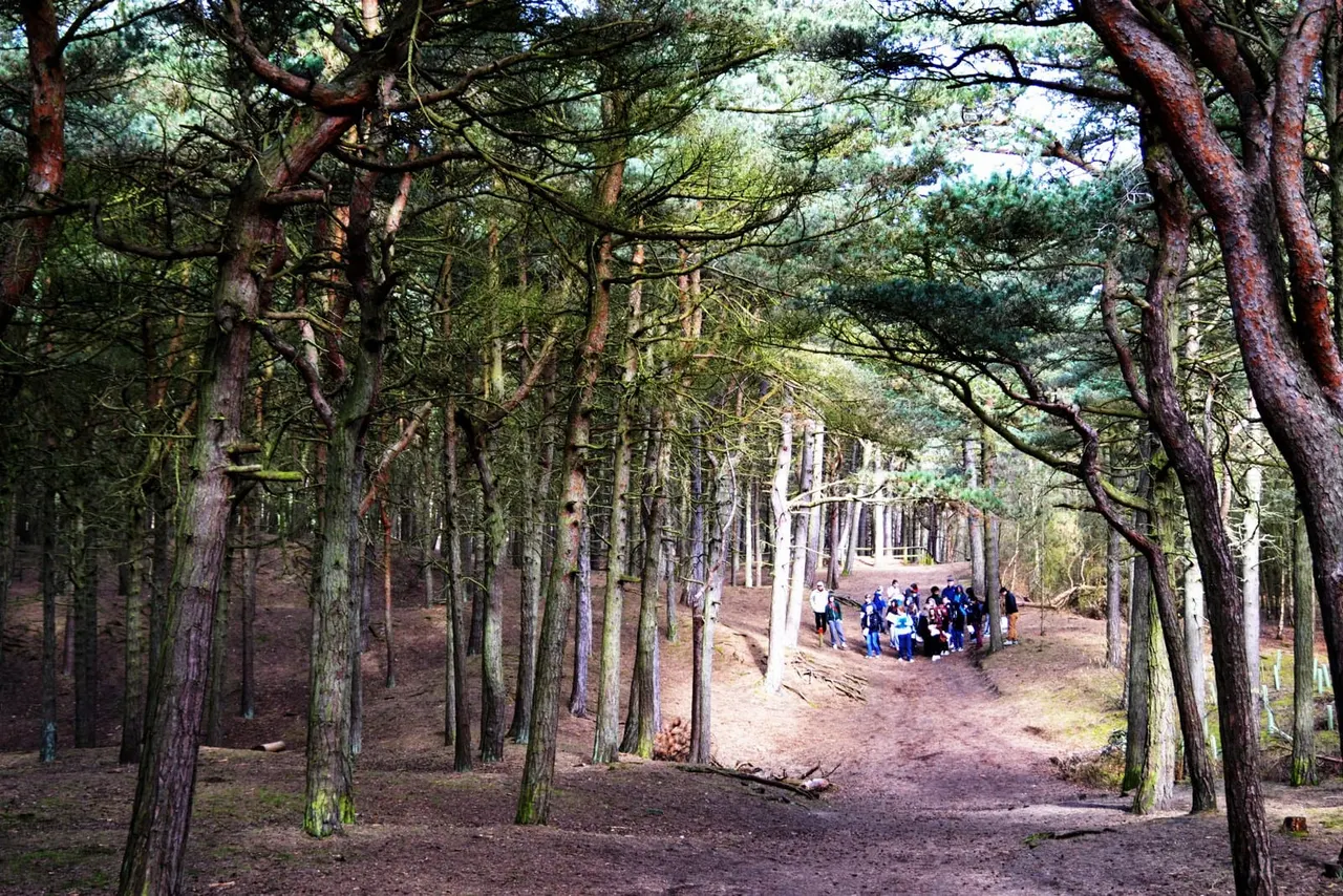 Woodland & Forest in Preston