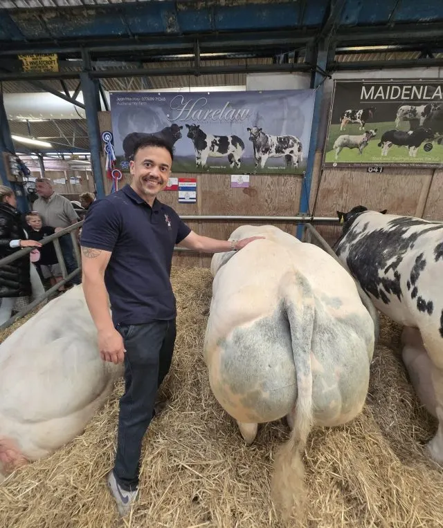 Man posing with dairy cows in a farm barn with educational signage and other visitors.