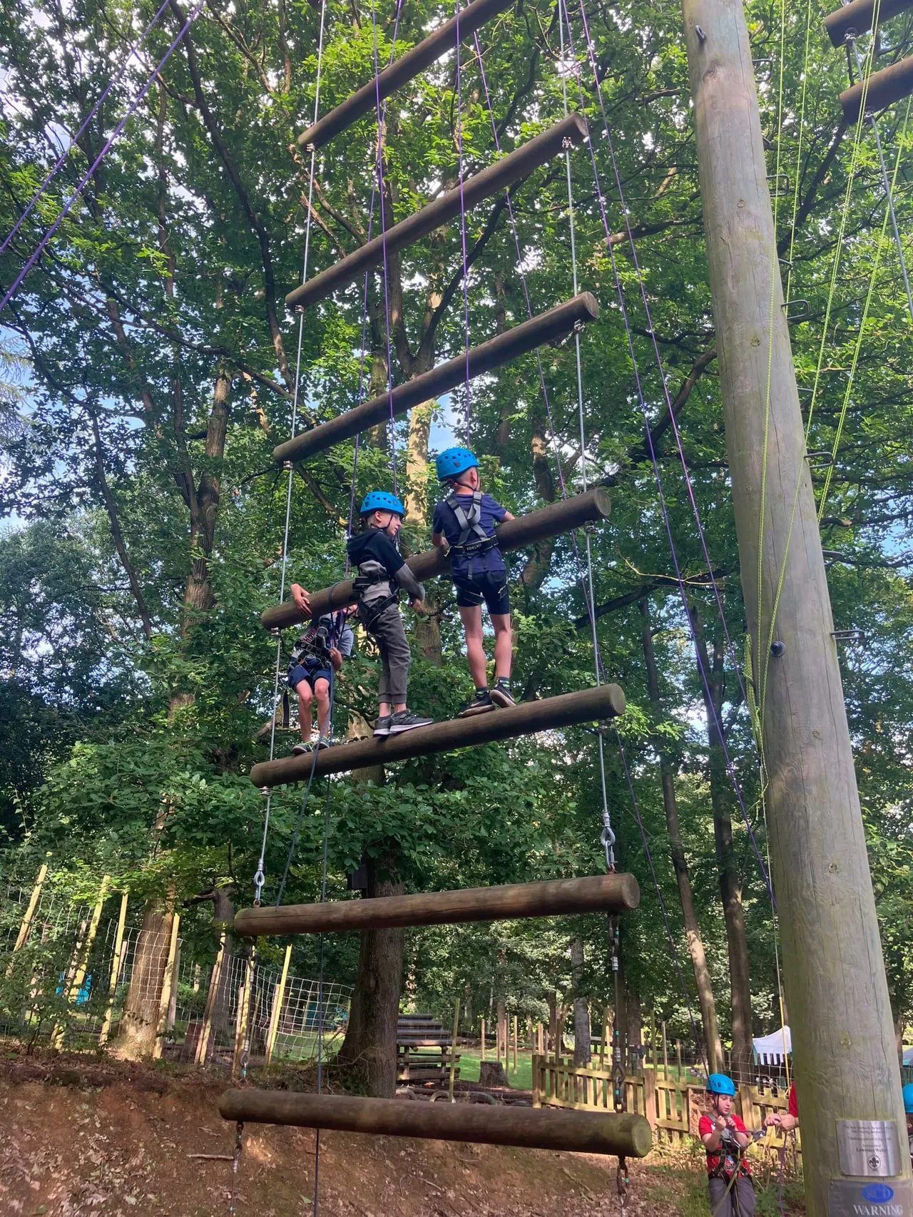 Two children wearing blue helmets navigate a high ropes course with wooden logs and rope elements among trees.