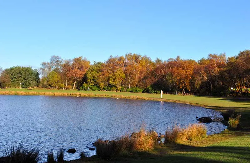 Autumn landscape with a calm lake surrounded by trees in golden foliage and grassy parkland under clear blue sky.