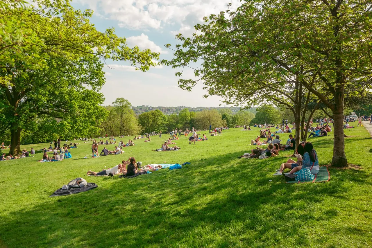 Large open parkland with hundreds of visitors relaxing and picnicking on grass beneath mature trees on a sunny day.
