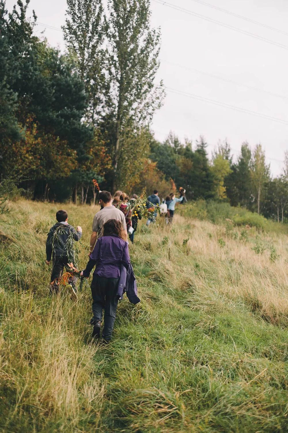 A group of people walking through grassland and picking vegetation on an autumn day, with tall trees lining the horizon.