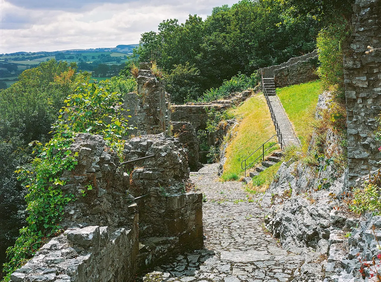 Ruined stone castle walls with ivy and grass, metal railings on steps, woodland and rolling countryside beyond.