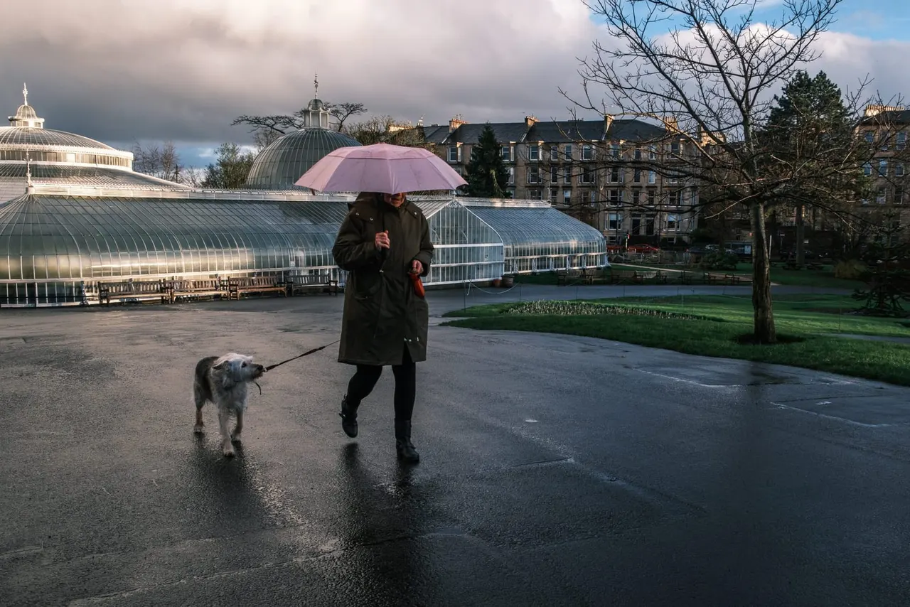 Person with pink umbrella walking a dog on wet pavement past glasshouse and historic buildings.