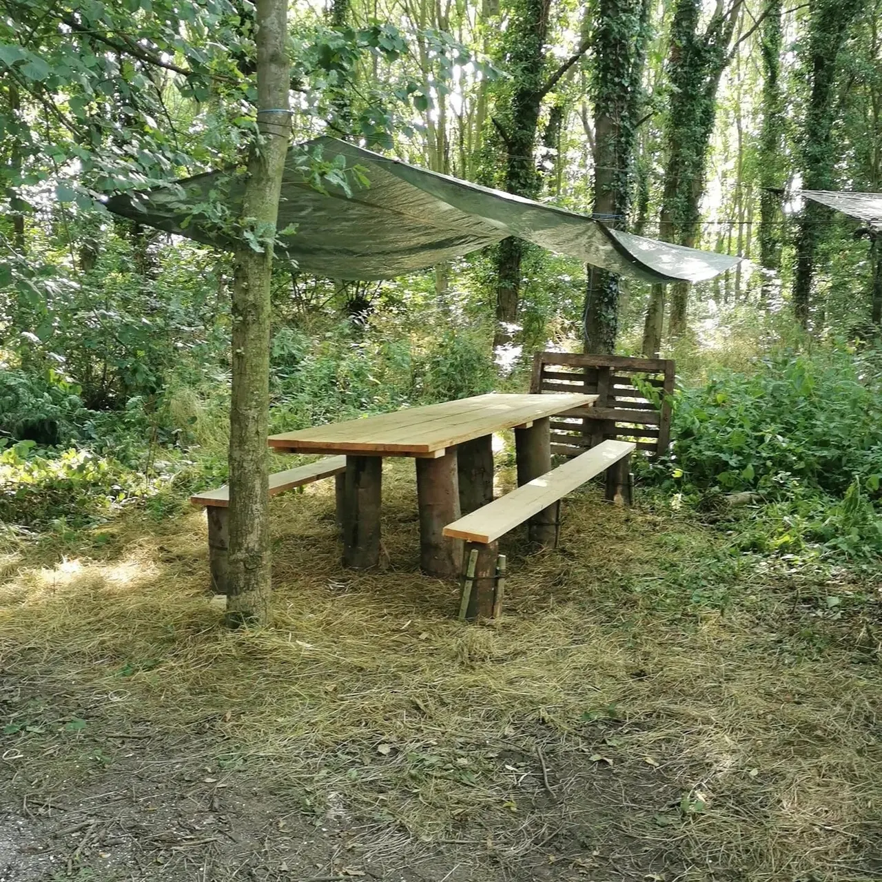 Wooden picnic table with benches under a canvas canopy in a woodland clearing surrounded by trees.