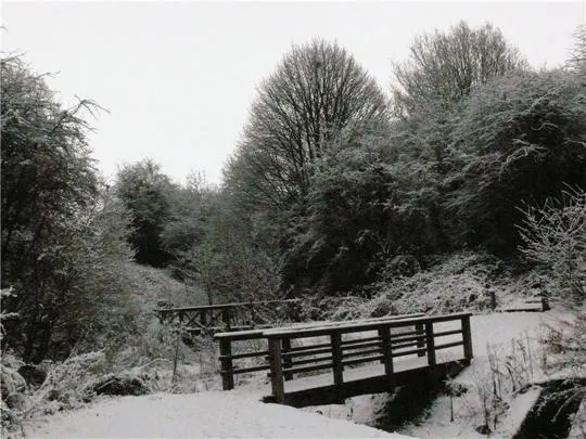 Wooden footbridge crossing a snow-covered stream in a wooded valley with bare trees.