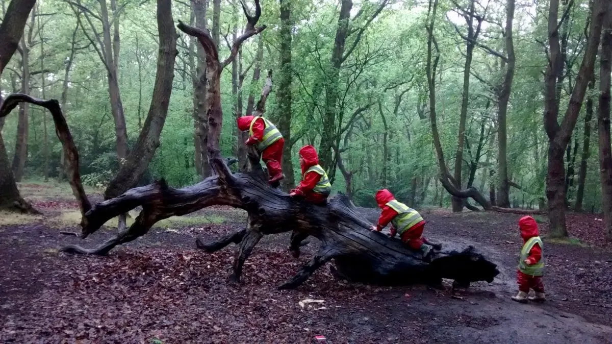 Young children in red and yellow high-visibility clothing climbing on a fallen log in a woodland clearing.