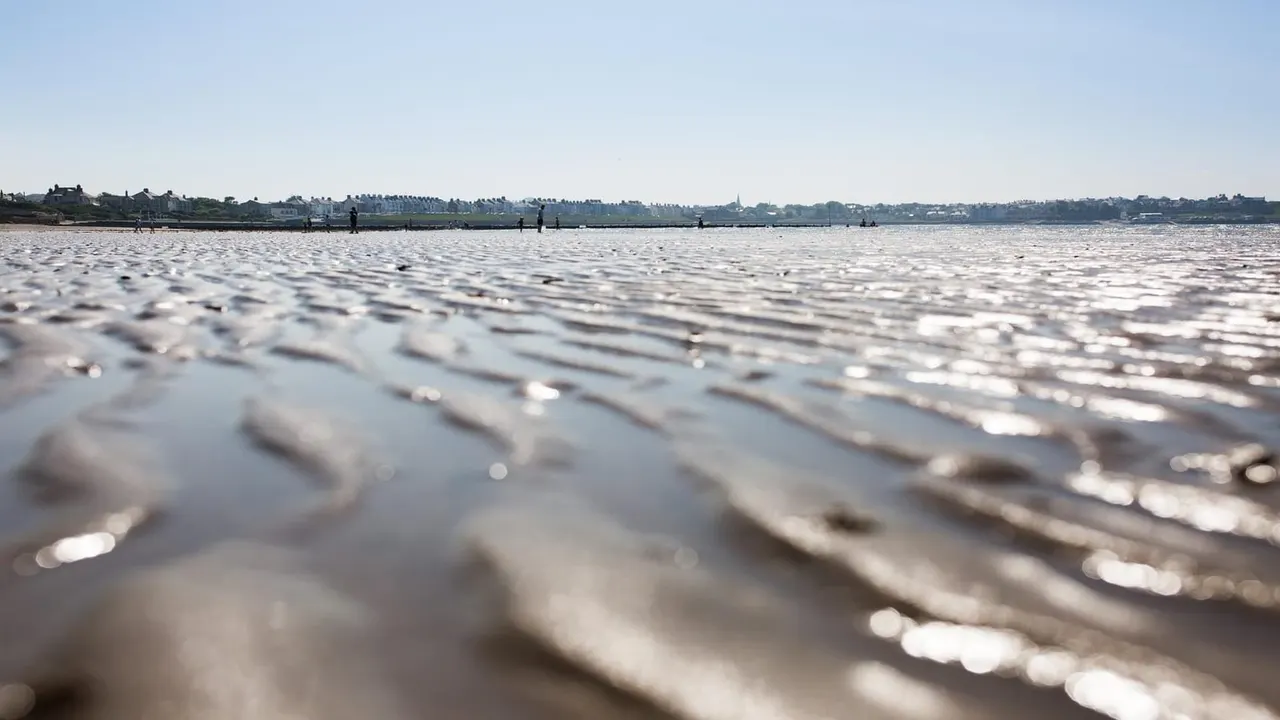 Beaches & Coast in Belfast