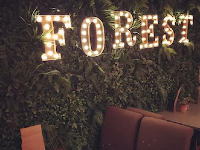 Forest