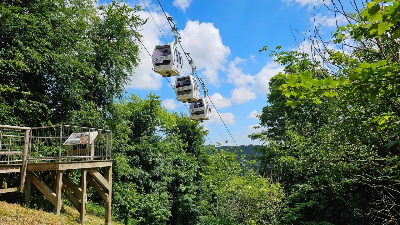 Cable car gondolas suspended above forested hillside with wooden viewing platform in foreground.