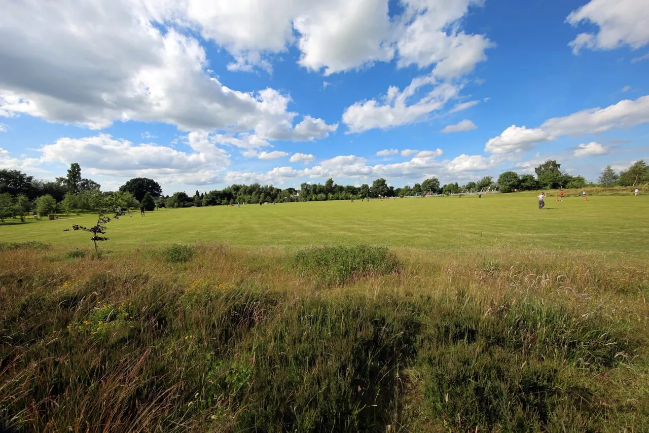 Expansive grassy parkland with tall vegetation in foreground, people scattered across the field, trees lining the horizon and blue cloudy sky.