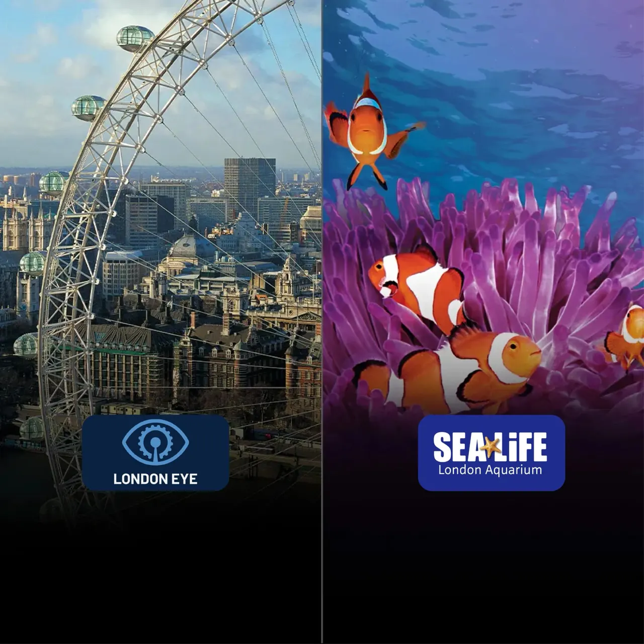 SEA LIFE London Aquarium