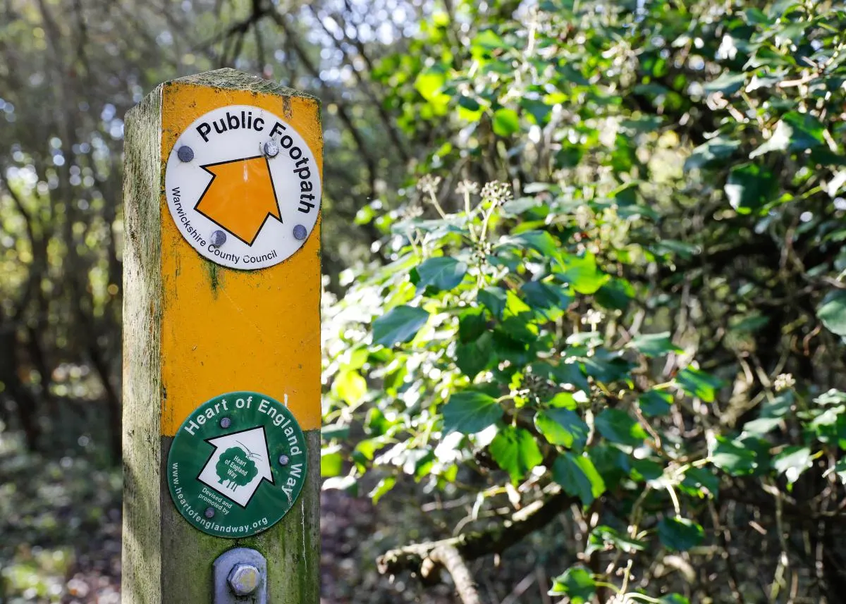 Public Footpath marker on wooden post surrounded by green woodland foliage and trees.